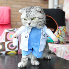 Load image into Gallery viewer, Funny Cat Clothes Pirate Suit Clothes For Cat Costume Clothing Corsair Halloween Clothes Dressing Up Cat Party Costume Suit 31A1
