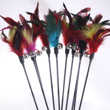 Load image into Gallery viewer, 1PCS Hot Sale Cat Toys Make A Cat Stick Feather With Small Bell Natural Like Birds Random Color Black Coloured Pole